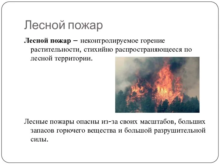 Лесной пожар Лесной пожар – неконтролируемое горение растительности, стихийно распространяющееся по
