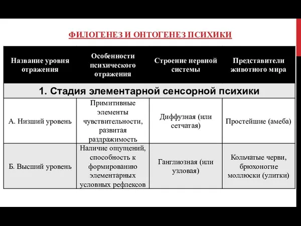 ФИЛОГЕНЕЗ И ОНТОГЕНЕЗ ПСИХИКИ