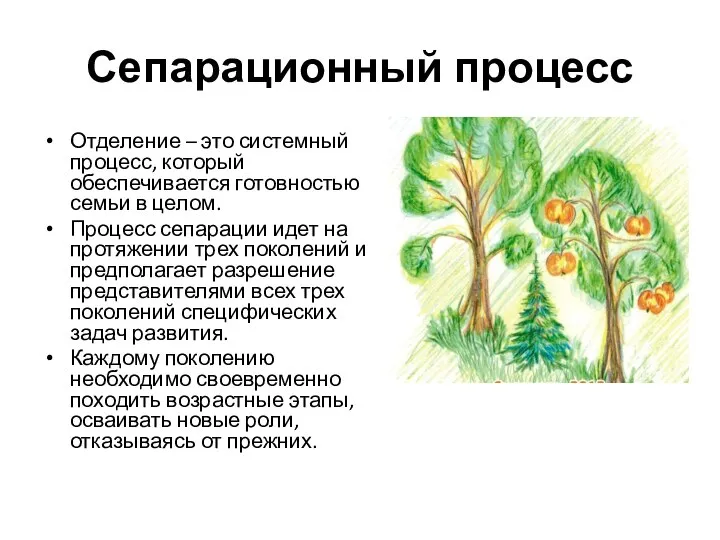 Сепарационный процесс Отделение – это системный процесс, который обеспечивается готовностью семьи