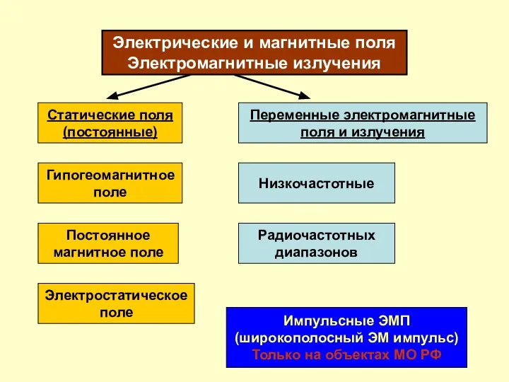 Постоянное магнитное поле Гипогеомагнитное поле Электростатическое поле Статические поля (постоянные) Электрические