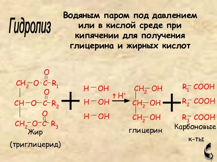 Жир (триглицерид) глицерин Карбоновые к-ты Гидролиз Водяным паром под давлением или