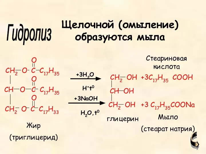 +3C17H35 COOH +3 C17H35COONa Жир (триглицерид) глицерин Мыло (стеарат натрия) Гидролиз