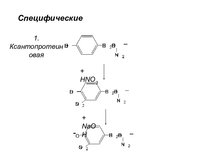 1. Ксантопротеиновая + HNO3 + NaOH Специфические