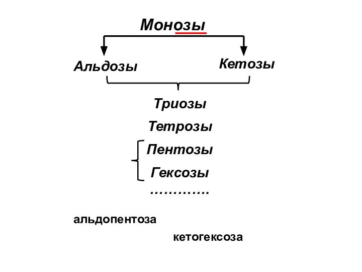 Монозы Альдозы Кетозы Триозы Тетрозы Пентозы Гексозы …………. альдопентоза кетогексоза