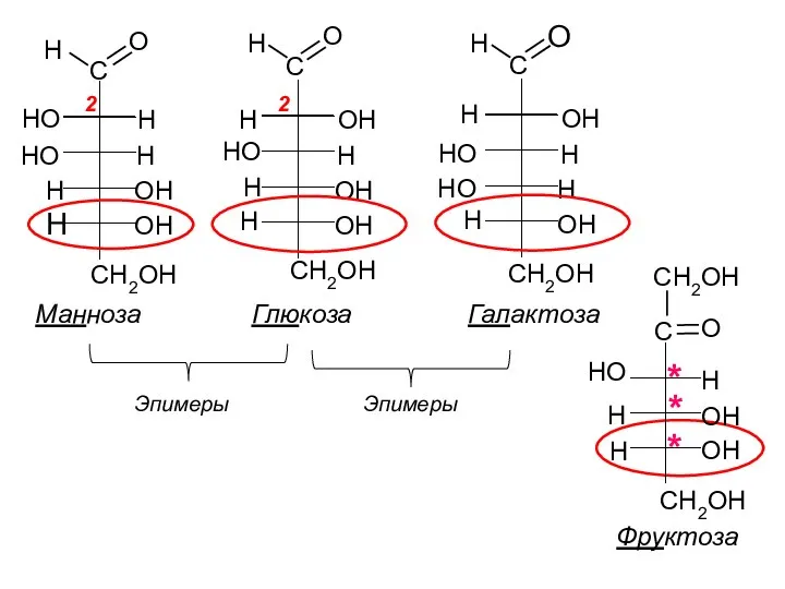 C H O CH2OH H HO OH H H HO H