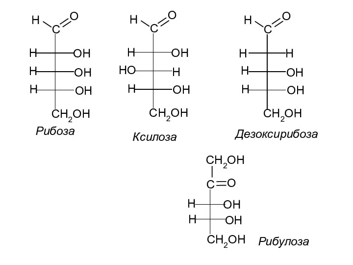 C H O OH OH OH CH2OH H H H C
