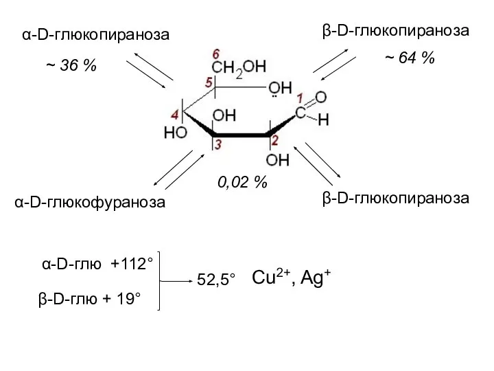 α-D-глюкопираноза β-D-глюкопираноза α-D-глюкофураноза β-D-глюкопираноза 0,02 % ~ 64 % ~ 36