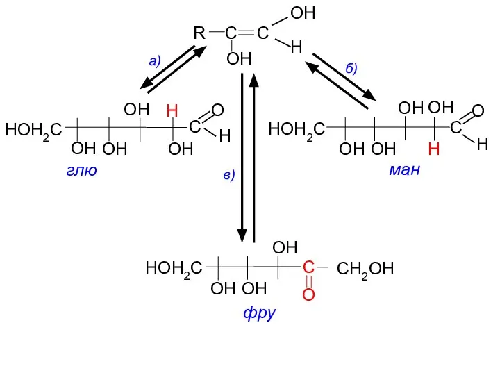 H OH R C С C H O OH OH OH