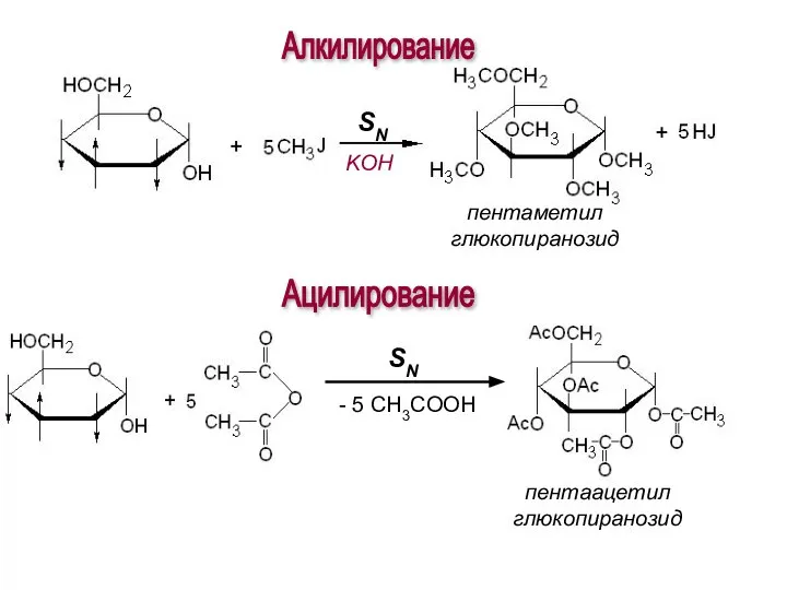 Алкилирование KOH Ацилирование пентаацетил глюкопиранозид пентаметил глюкопиранозид SN - 5 CH3COOH SN