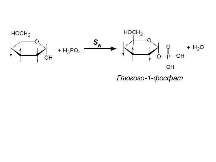 Глюкозо-1-фосфат SN