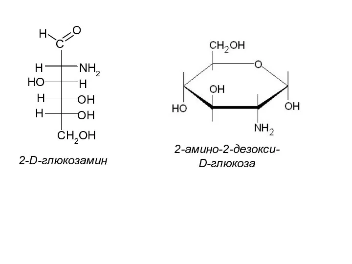 C H O CH2OH NH2 HO OH H H H H OH 2-D-глюкозамин 2-амино-2-дезокси- D-глюкоза