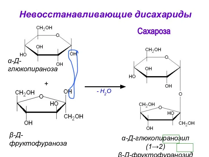 Сахароза β-Д-фруктофураноза α-Д-глюкопираноза α-Д-глюкопиранозил (1→2) β-Д-фруктофуранозид - H2O + Невосстанавливающие дисахариды