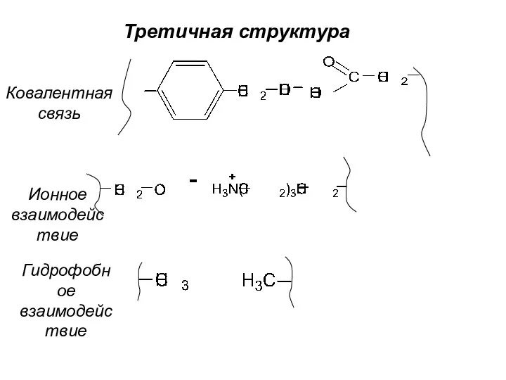 Третичная структура Ковалентная связь Ионное взаимодействие Гидрофобное взаимодействие