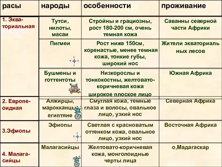 1. Эква-ториальная 2. Европе- оидная 3.Эфиопы 4. Малага- сийцы