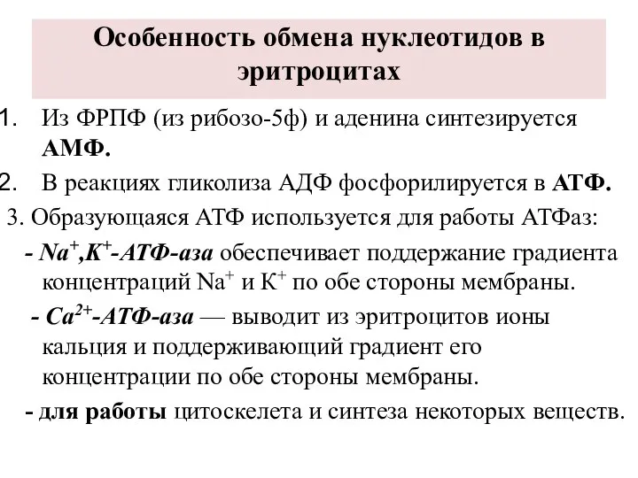 Особенность обмена нуклеотидов в эритроцитах Из ФРПФ (из рибозо-5ф) и аденина