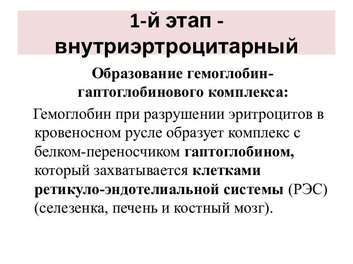 1-й этап - внутриэртроцитарный Образование гемоглобин-гаптоглобинового комплекса: Гемоглобин при разрушении эритроцитов