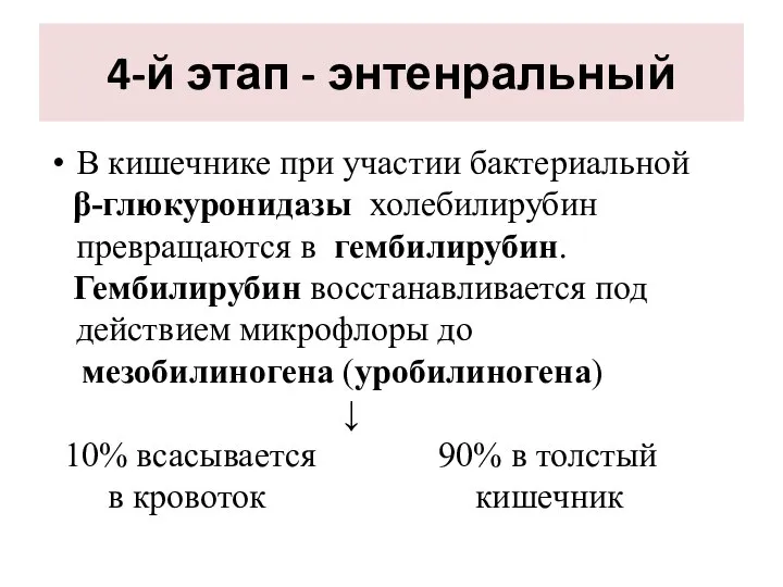 4-й этап - энтенральный В кишечнике при участии бактериальной β-глюкуронидазы холебилирубин