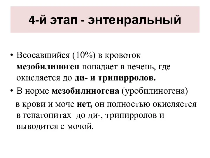 4-й этап - энтенральный Всосавшийся (10%) в кровоток мезобилиноген попадает в