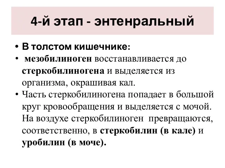 4-й этап - энтенральный В толстом кишечнике: мезобилиноген восстанавливается до стеркобилиногена