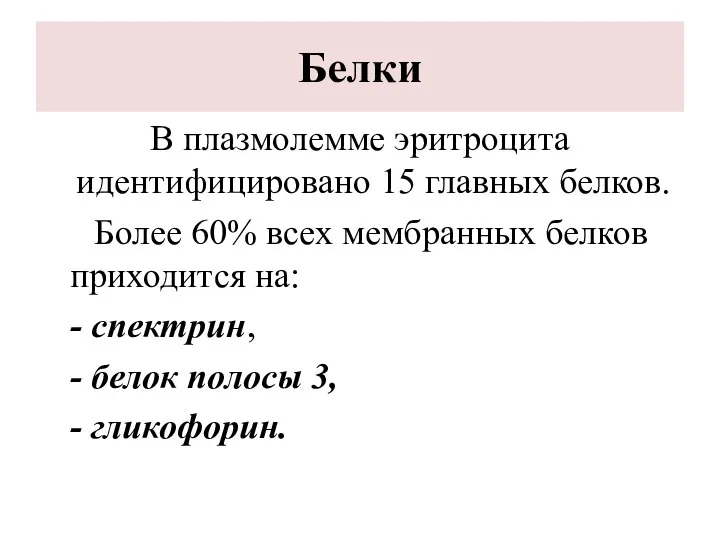 Белки В плазмолемме эритроцита идентифицировано 15 главных белков. Более 60% всех