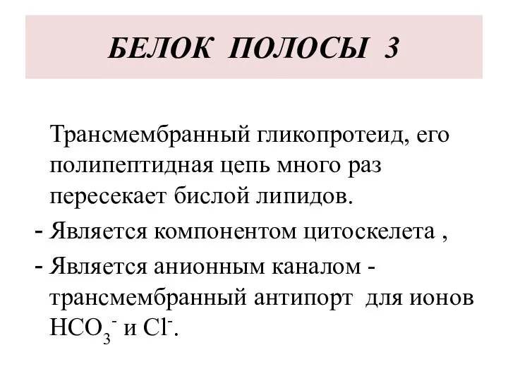 БЕЛОК ПОЛОСЫ 3 Трансмембранный гликопротеид, его полипептидная цепь много раз пересекает