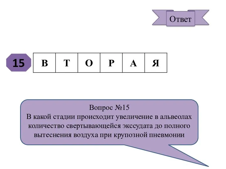 15 Вопрос №15 В какой стадии происходит увеличение в альвеолах количество