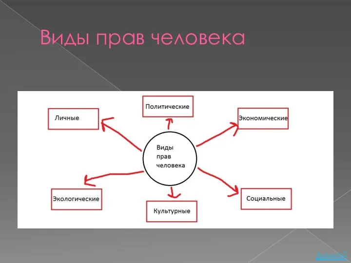 Виды прав человека Домой