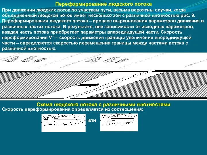 Переформирование людского потока При движении людских поток по участкам пути, весьма