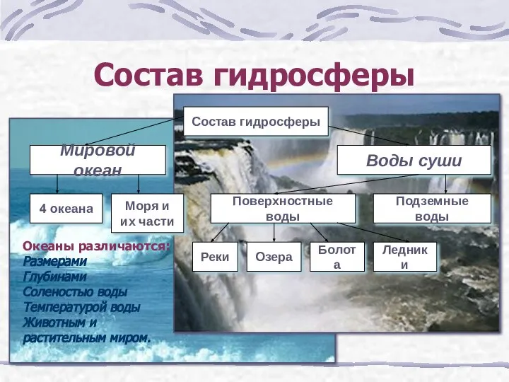 Состав гидросферы Океаны различаются: Размерами Глубинами Соленостью воды Температурой воды Животным и растительным миром.