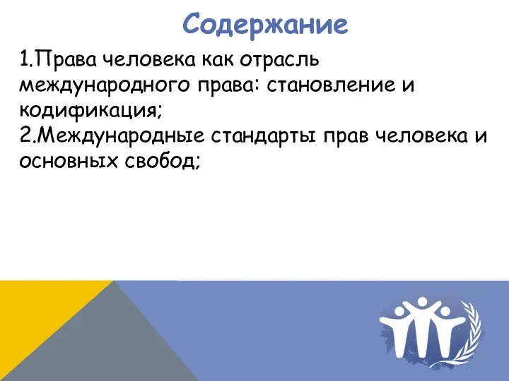 1.Права человека как отрасль международного права: становление и кодификация; 2.Международные стандарты