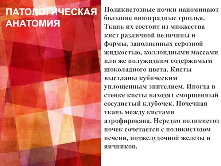 ПАТОЛОГИЧЕСКАЯ АНАТОМИЯ Поликистозные почки напоминают большие виноградные гроздья. Ткань их состоит