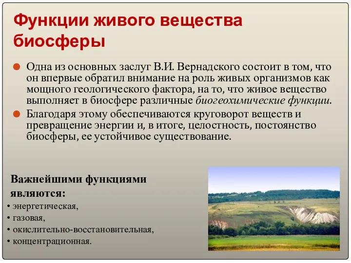 Функции живого вещества биосферы Одна из основных заслуг В.И. Вернадского состоит