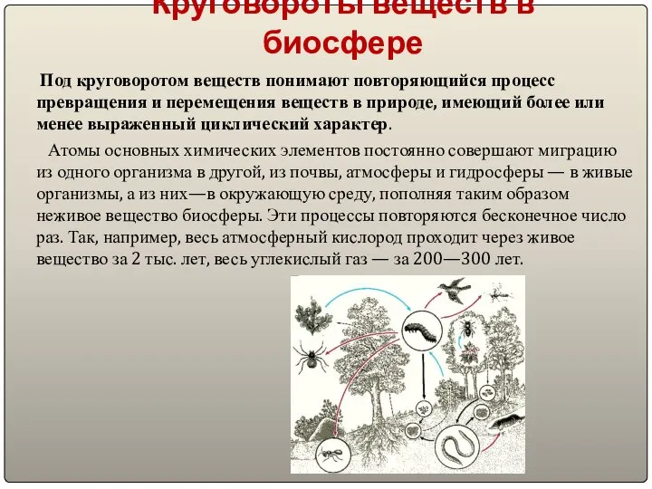 Круговороты веществ в биосфере Под круговоротом веществ понимают повторяющийся процесс превращения