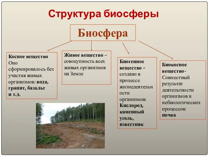 Структура биосферы Биосфера Косное вещество Оно сформировалось без участия живых организмов: