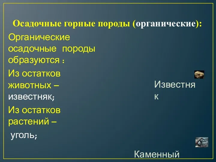 Осадочные горные породы (органические): Органические осадочные породы образуются : Из остатков