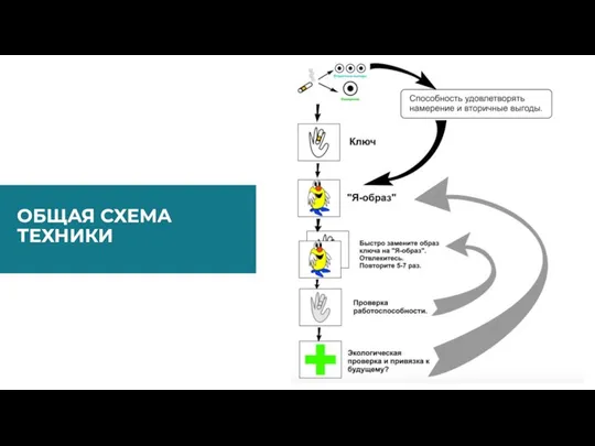 ОБЩАЯ СХЕМА ТЕХНИКИ