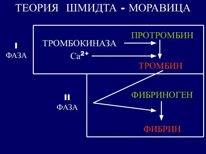 ТЕОРИЯ ШМИДТА - МОРАВИЦА