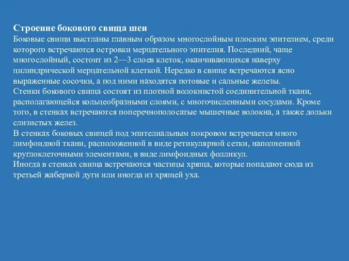 Строение бокового свища шеи Боковые свищи выстланы главным образом многослойным плоским