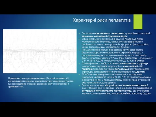 Характерні риси пегматитів Пегматити просторово та генетично дуже щільно пов’язані з