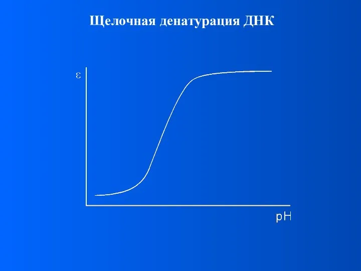 Щелочная денатурация ДНК