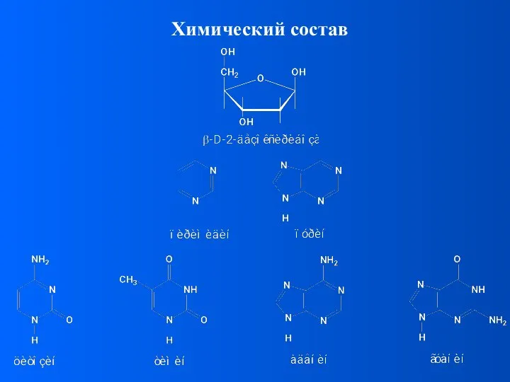 Химический состав