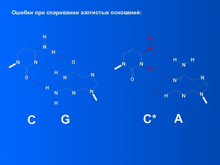 Ошибки при спаривании азотистых оснований: