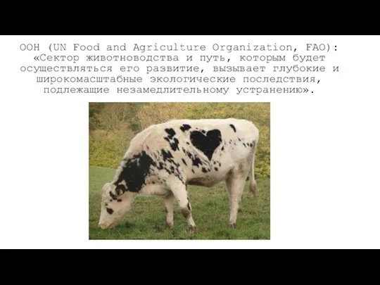 ООН (UN Food and Agriculture Organization, FAO): «Сектор животноводства и путь,