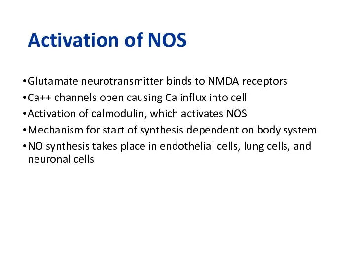 Activation of NOS Glutamate neurotransmitter binds to NMDA receptors Ca++ channels