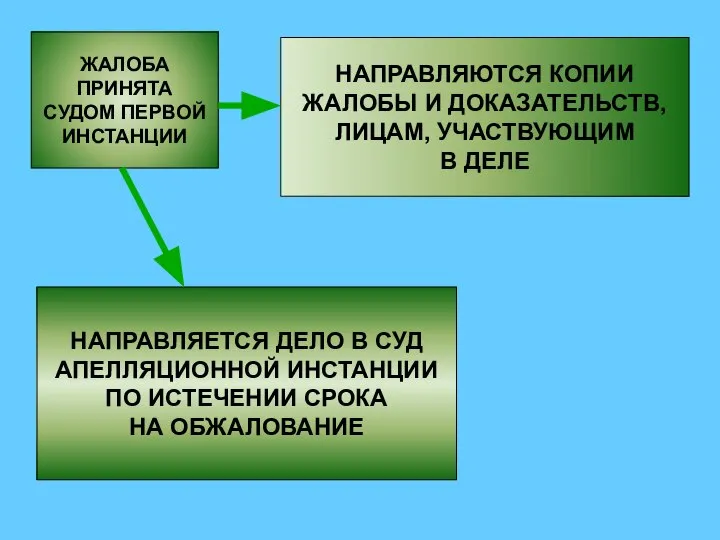 ЖАЛОБА ПРИНЯТА СУДОМ ПЕРВОЙ ИНСТАНЦИИ НАПРАВЛЯЮТСЯ КОПИИ ЖАЛОБЫ И ДОКАЗАТЕЛЬСТВ, ЛИЦАМ,