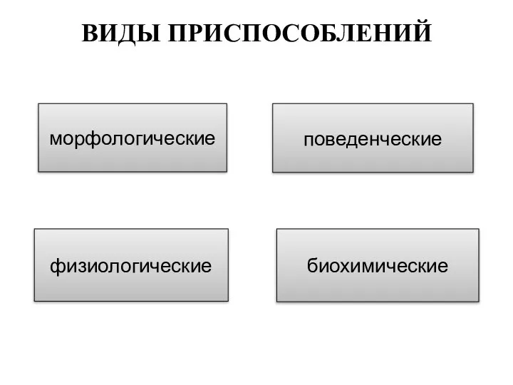 ВИДЫ ПРИСПОСОБЛЕНИЙ морфологические поведенческие физиологические биохимические