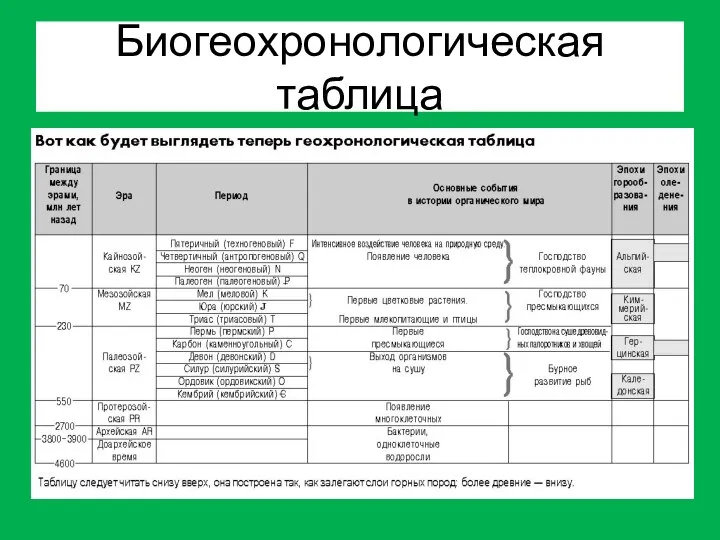 Биогеохронологическая таблица