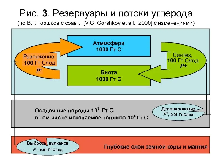 Рис. 3. Резервуары и потоки углерода (по В.Г. Горшков с соавт.,