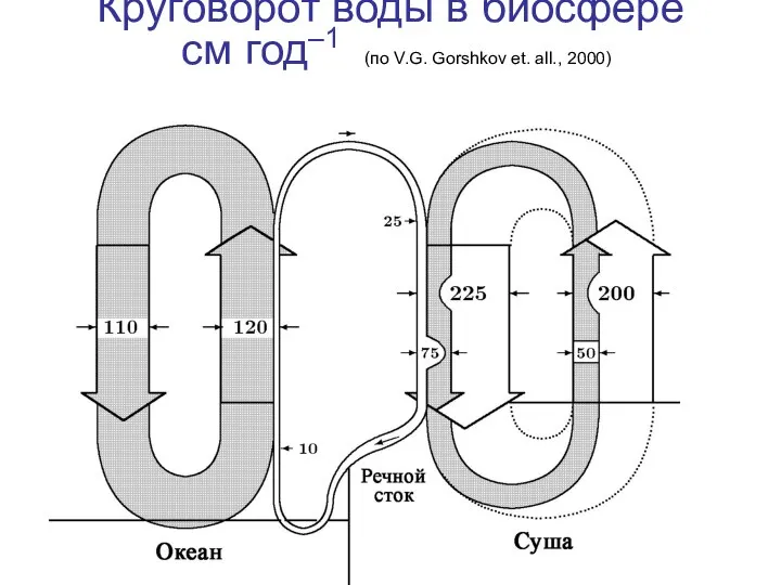 Круговорот воды в биосфере см год–1 (по V.G. Gorshkov et. all., 2000)