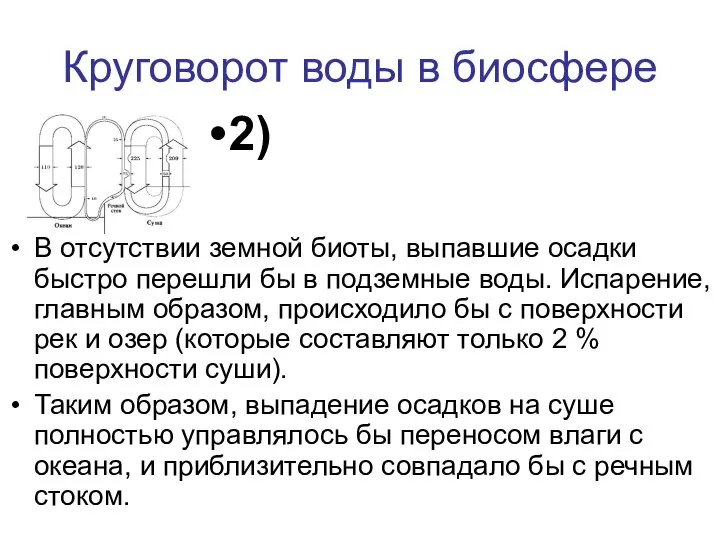 Круговорот воды в биосфере В отсутствии земной биоты, выпавшие осадки быстро